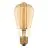Ledvance Vintage 1906 LED E27 Edison Dorée 5.8W 470lm - 822  | Dimmable - Remplacement 40W